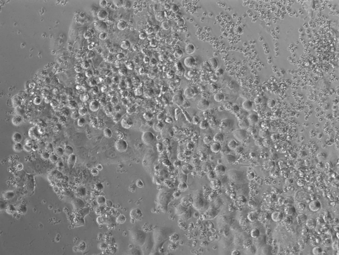 1578911392444972.png image.png